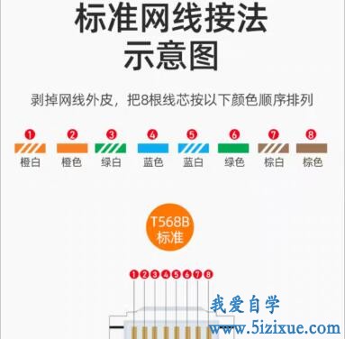 
		家庭网络网线水晶头和网线插板接法	